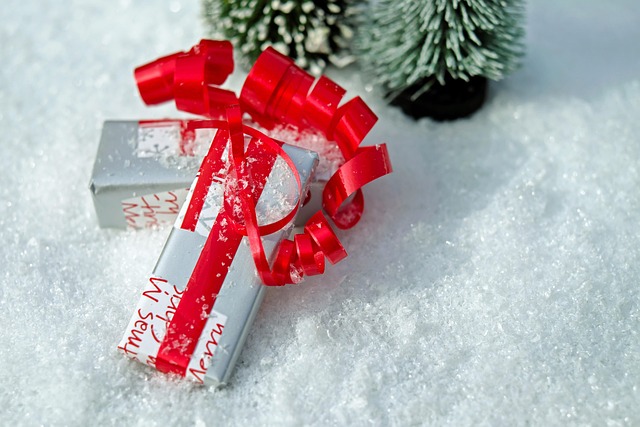 tulpenbollen pakket met labels en instructies