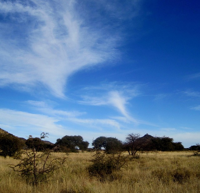 roze tulpen veld met frisse lente kleuren